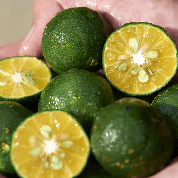 Shikulime Gel-to-Oil Cleanser