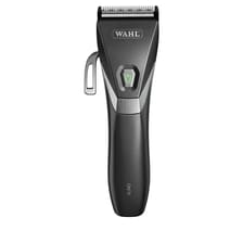 Kuno Clipper