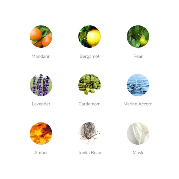 Fragrance Body Spray