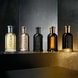 Absolu Parfum Intense