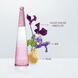 Solar Violet Eau de Toilette Intense