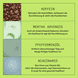 Scalp + Hair Conditioner