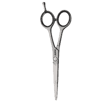 Ciseaux à cheveux Satin 6.0