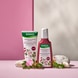 Shampoo Colorprotettivo alla Rosa Selvatica