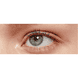False Lash Black