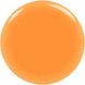 On a roll apricot nail & cuticle oil