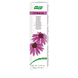 Zahnpasta Echinacea