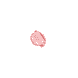 Multi-Intensive Rose Radiance
