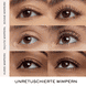 Lash Idole Flutter 01