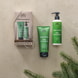 Wild Lemongrass Gift Set
