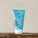 3 Minutes Mask - Agave