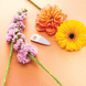 Printemps Leather Snap Hair Clip