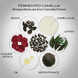 Power Infusing Serum