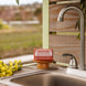 Bar Soap - Eucalyptus
