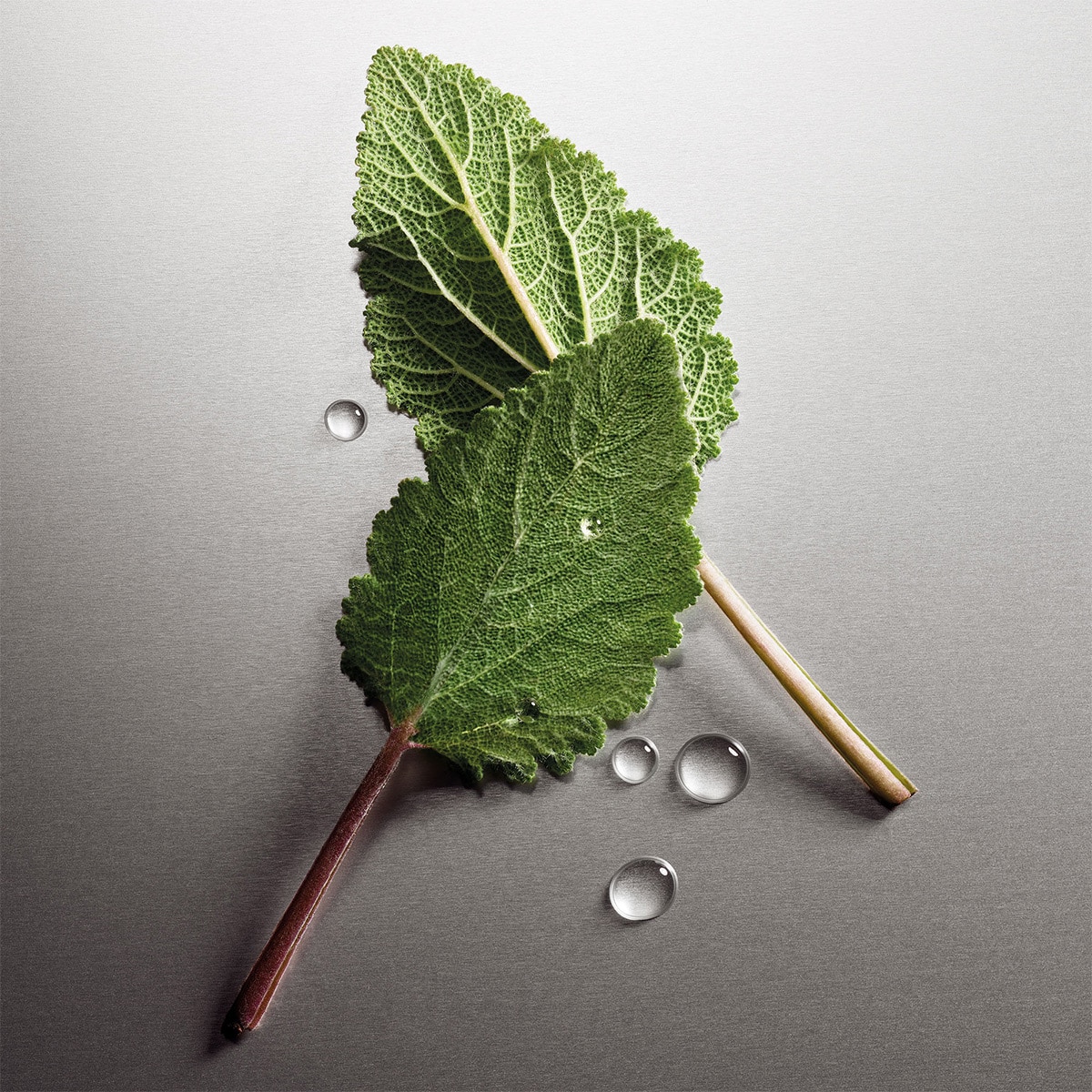 Eau de Parfum Natural Spray
