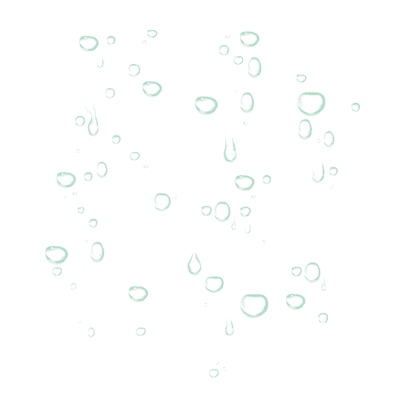 The Perfect Matcha 3-in-1 Beauty Water