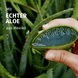 Feuchtigkeit Aloe Vera Pflegespülung