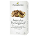 Aesculus Pycnogenol Kapseln – 60 Stk.