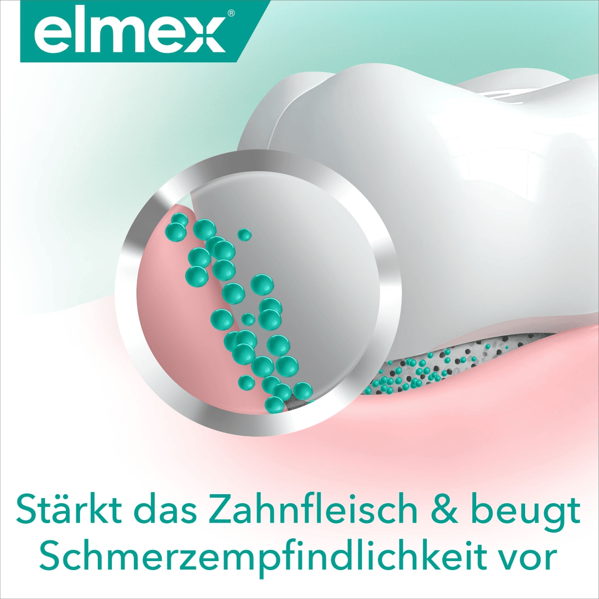 elmex professional repair and prevent