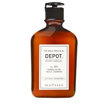 No.101 Normalizing Daily Shampoo