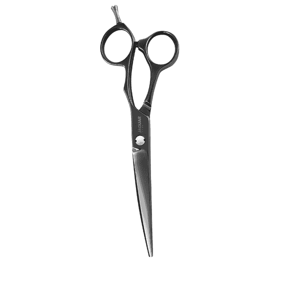 Xenox Titanium 5.5 Hair Scissors