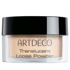 Translucent Loose Powder - 02 translucent light