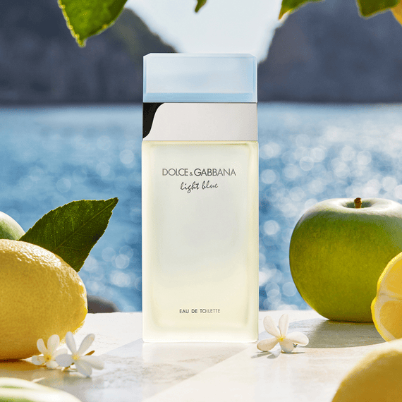 Dolce best sale gabbana edt