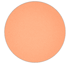 Small Eye Shadow Pro Palette Matte Samoa Silk