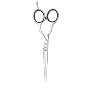 PreStyle Ergo P 5,5 Hair Scissors