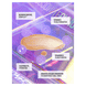Self Tanning Face Serum - Magenta