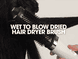 Duet Blowdry