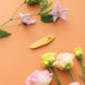 Printemps Leaf Slide