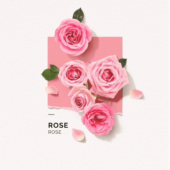 Eau de Parfum Rose