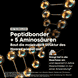 Absolut Repair Molecular Shampoo - Refill