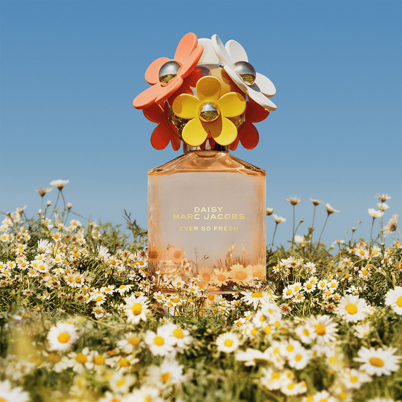 Daisy clearance lively perfume