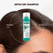Shampoo Secco con BIO-ortica