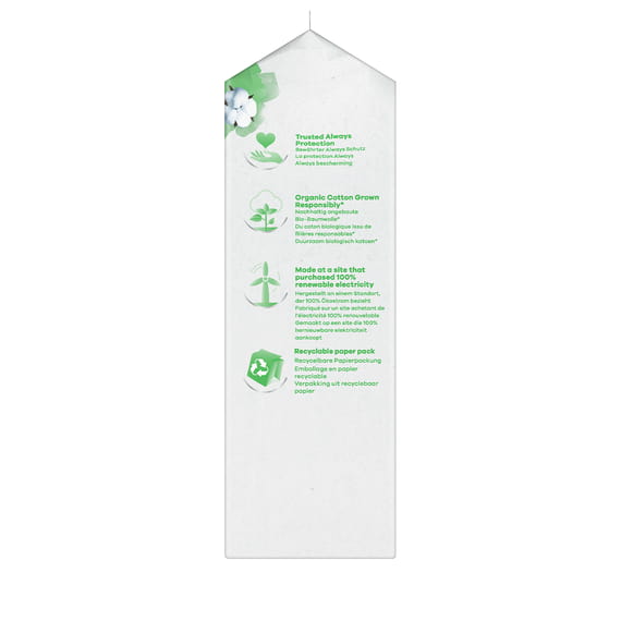 Sanitary Towels Normal with Wings Big Pack - 22 Pcs.