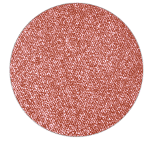 Small Eye Shadow Pro Palette Frost Nude Model