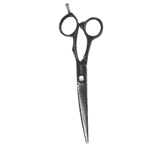 Forbici per capelli Xenon Titanium 6.0