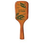 Mini Paddle Brush