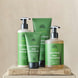 Wild Lemongrass Hand Wash