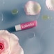 Velvet Rose