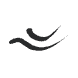 Liquid Ink Eyeliner Waterproof