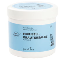 Murmeli Herbal Ointment Cooling