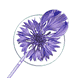 Fiordaliso bio Shampoo