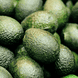 Farbschutz-Conditioner mit Avocado