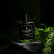 Ambassador Intense Eau de Parfum