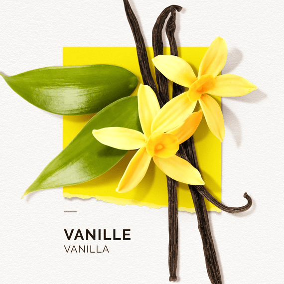 Eau de Parfum Vanille