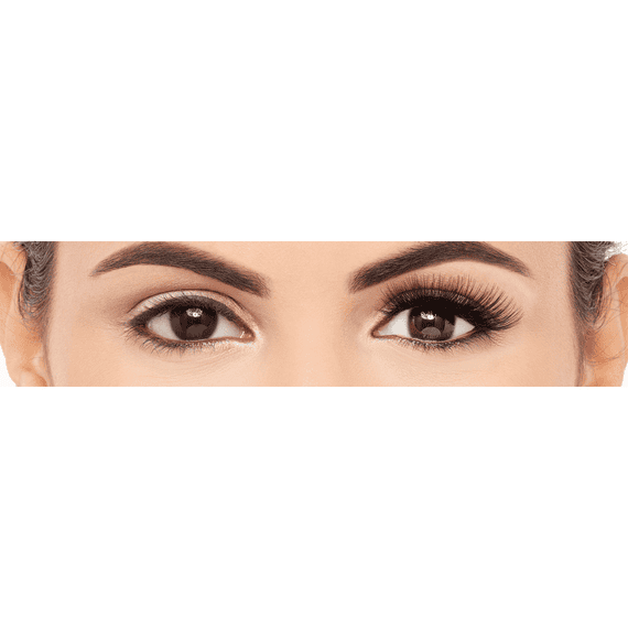 Eylure eyelashes shop