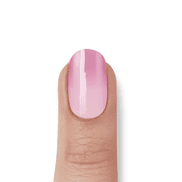 Pink Donut